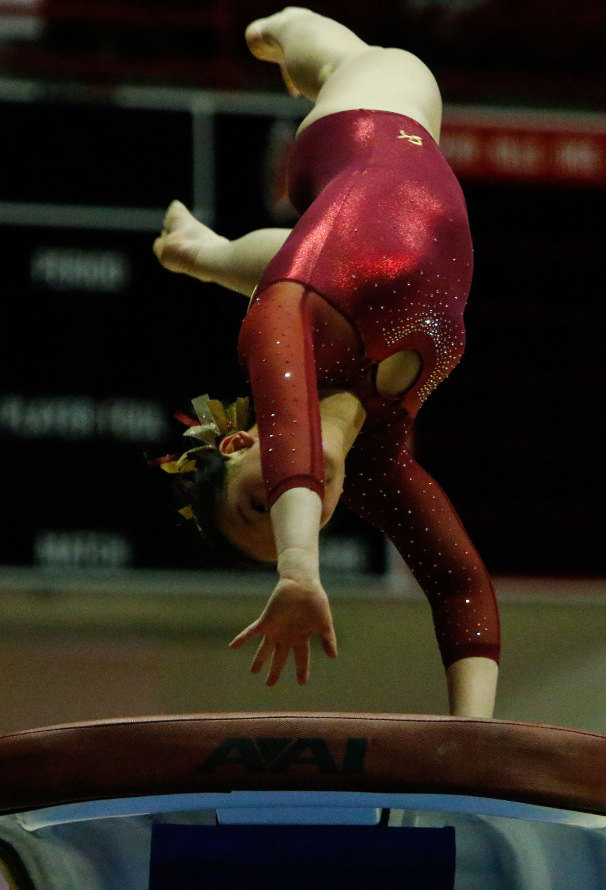 Gallery: Gymnastics state finals